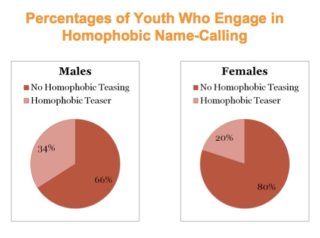 Chart on % of Youth Who Engage in Homophobic Name-Calling